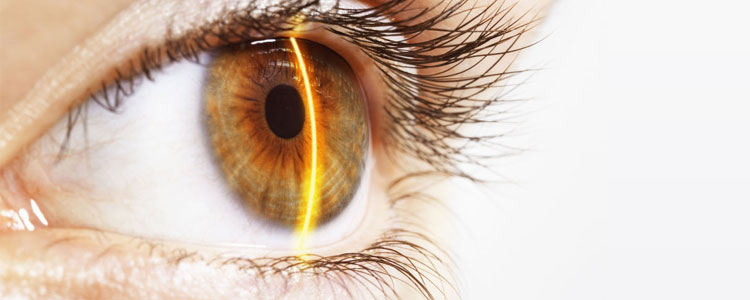 Какие заболевания можно диагностировать по состоянию глаз?